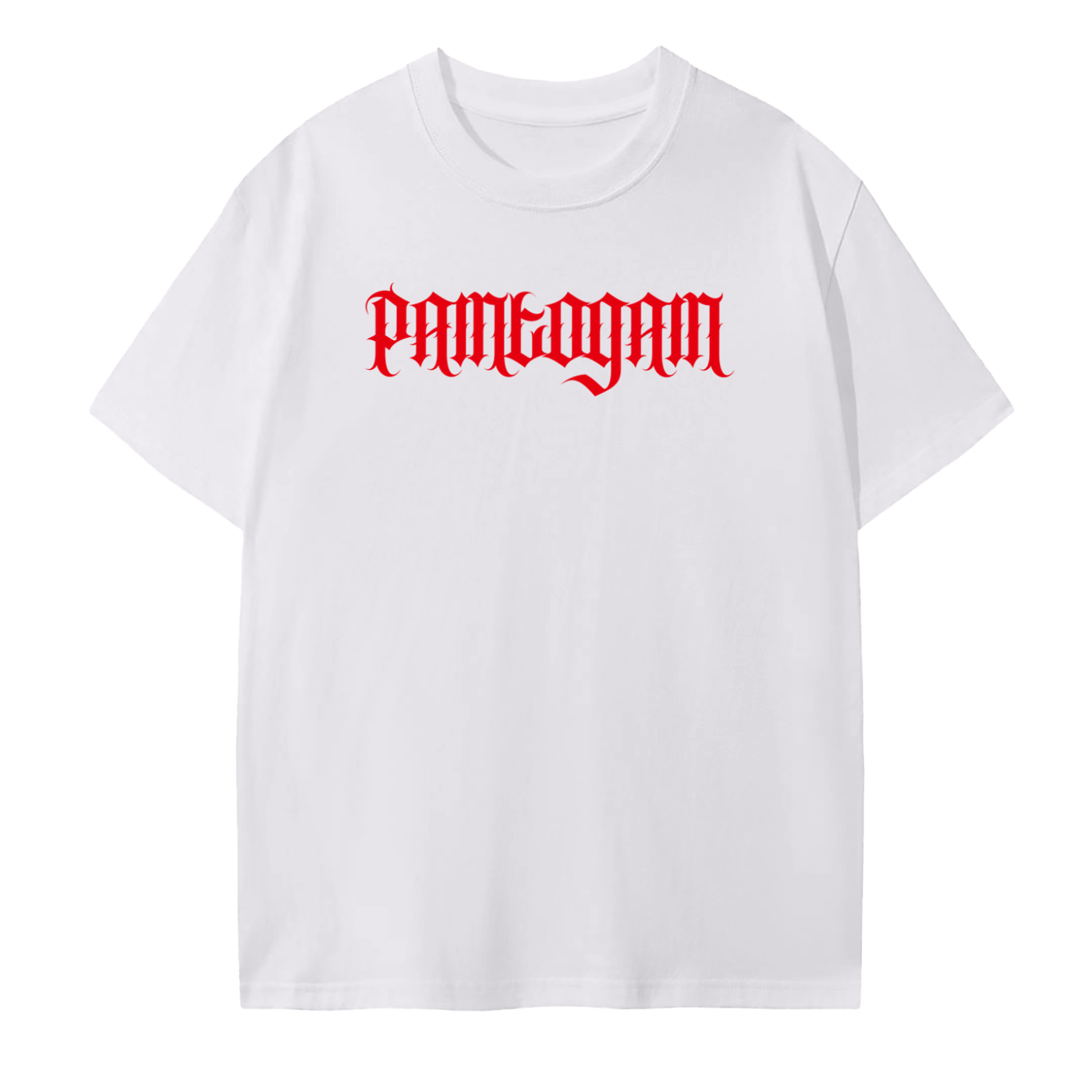 Seamless Cotton T-Shirt [PTG ROMANSs 8:18]